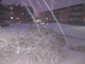 snö mot gården
